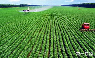 農業科技 現代農業發展的核心引擎——種植技術創新與應用