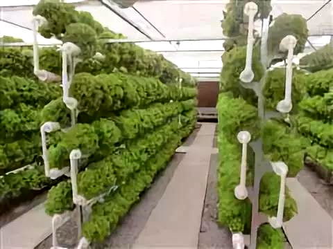 彩虹故鄉，又踏層峰望眼開 互助縣經濟社會發展紀實中的農業種植技術開發