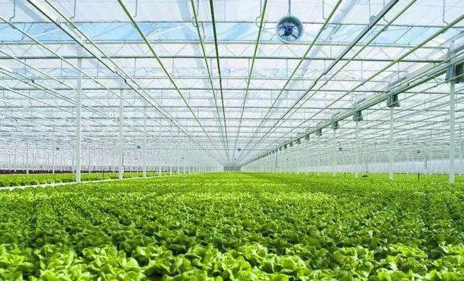 發展設施農業，推動農業技術革新