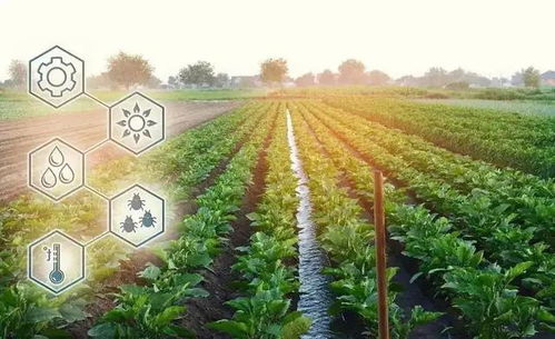 數字鄉村直通車 全國政策盤點與農業種植技術開發新機遇